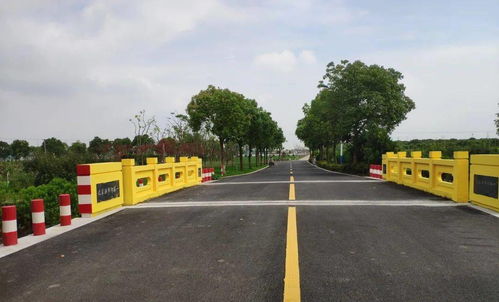 上海這些鄉(xiāng)村路處處是風(fēng)景,您中意哪些 2020上海十大最美鄉(xiāng)村路 評選活動開始啦