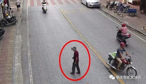 肇慶行人亂穿馬路遭曝光，道路設施問題引發關注